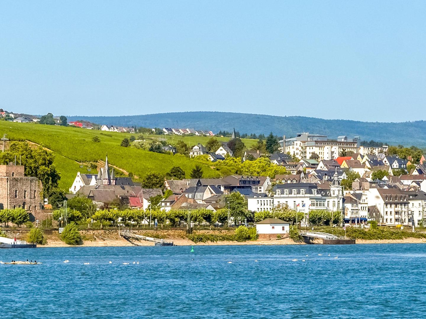 rudesheim